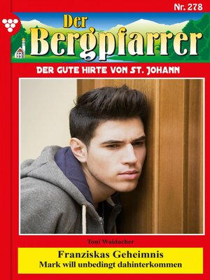 cover image of Franziskas Geheimnis